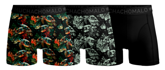 Muchachomalo Turtle 01 3pk Boxer Print/print/solid XX Large