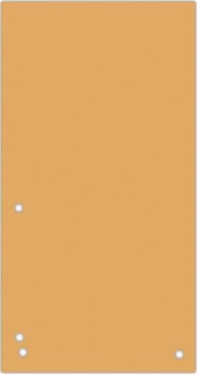 Donau Skilleark Papp 1/3 A4 Oransje 8620100 12Pl