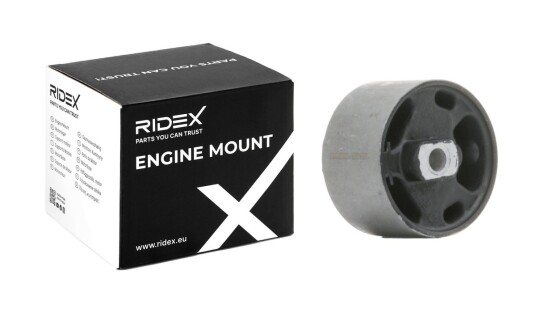 Motorfeste RIDEX 247E0183
