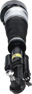 KAVO PARTS SAS-10039 Luftdempere KAVO PARTS SAS-10039 Luftdempere