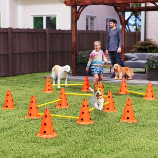 Agility sett Hunder 6 delers Agility utstyr for hundetrening Hekkesett med 12 kjegler 6 høydejusterbare hekker Bæreveske Trening
