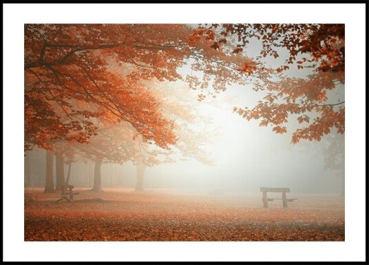 The wonders of nature Poster Plakat / 30x40cm