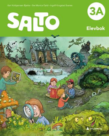 Salto 3a, 2. Utg. Av Kari Kolbjørnsen Bjerke, Siw Monica Fjeld, Ingvill Krogstad Svanes
