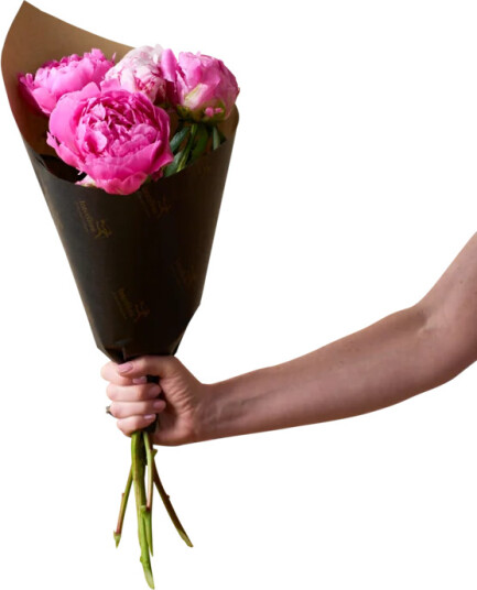 Other Brand 5 rosa peoner
