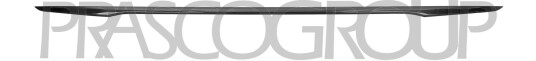 PRASCO BM0541285 Pynte- / vernelist, støtfanger