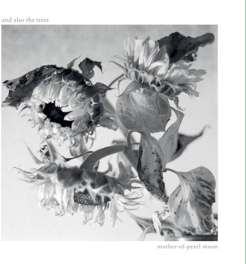 And Also The Trees MotherofPearl Moon LP/Vinyl And Also The Trees MotherofPearl Moon LP/Vinyl