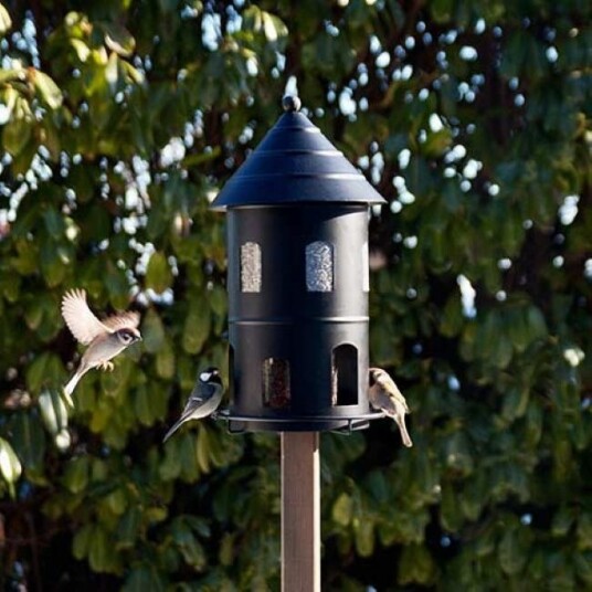 Wildlife Garden Fuglehus Og Fuglemater Sort H41Cm