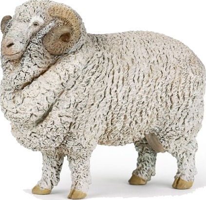 Papo Væren Merino