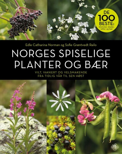 Norges spiselige planter og bær av Edle Catharina Norman og Sofie Grøntvedt Railo - Vilt og Velsmakende - Norsk Mat Norges spiselige planter og bær av Edle Catharina Norman og Sofie Grøntvedt Railo - Vilt og Velsmakende - Norsk Mat