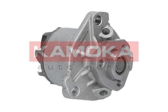 Vannpumpe KAMOKA T0138