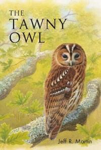 The Tawny Owl Av Mr Jeff Martin