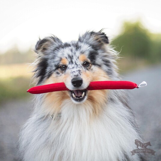 Doggie-Zen Doggie-Zen Minidummy S Doggie-Zen Doggie-Zen Minidummy S