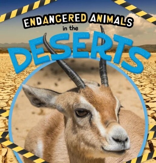 In the Deserts av Emilie Dufresne