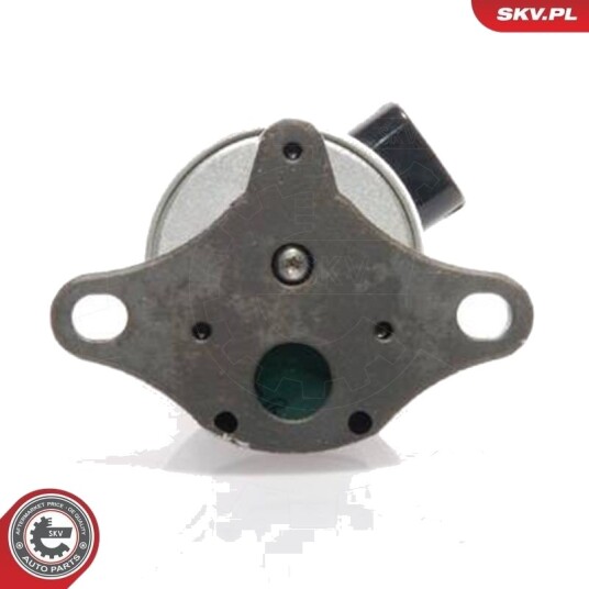 EGR-ventil ESEN SKV 14SKV017