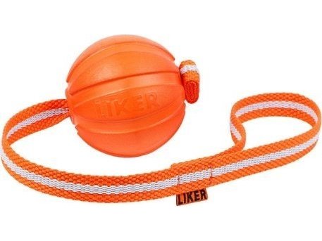 En Ball På En Snor For Valper Og Små Hunder Liker Line 7 Waudog