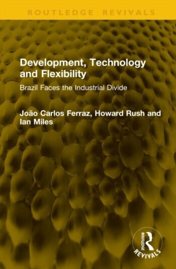 Development Technology and Flexibility