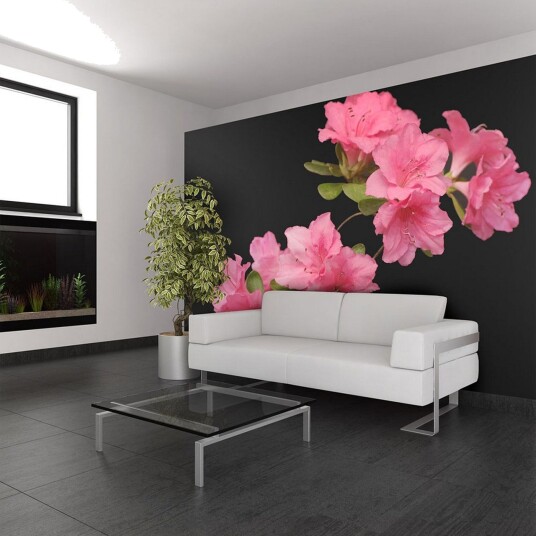 Fototapet Azalea In Black 350x270 - Artgeist sp. z o. o.