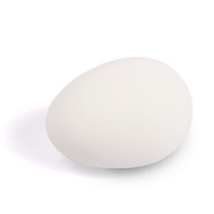 America Egg til hønserede 2 stk America Egg til hønserede 2 stk
