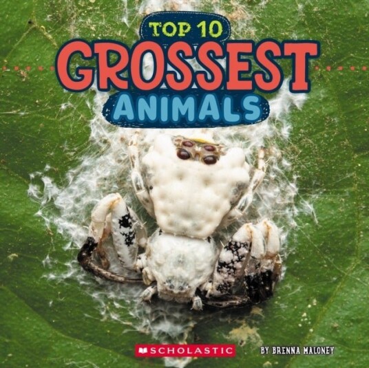 Grossest Animals Wild World: Top 10