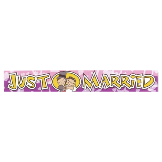 Banner Just Married 