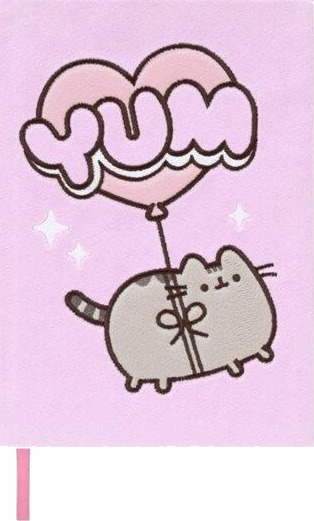Pusheen Notatbok A5 Line Plush Pusheen Notatbok A5 Line Plush