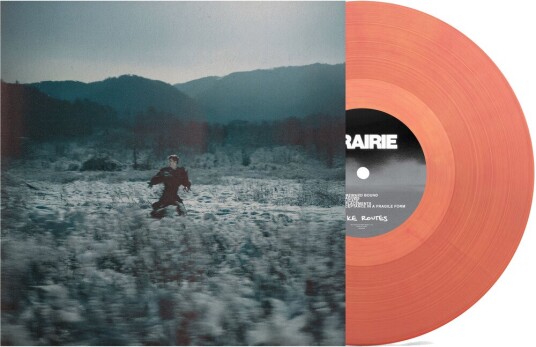 Prairie Vinyl