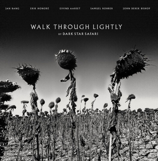 Dark Star Safari Walk Through Lightly Vinyl