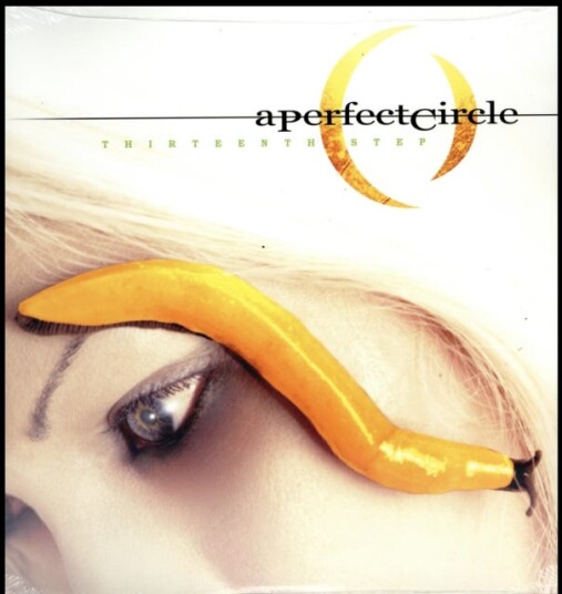 A Perfect Circle Thirteenth Step LP/Vinyl A Perfect Circle Thirteenth Step LP/Vinyl