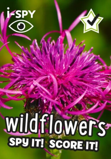 iSPY Wildflowers Spy it! Score it!
