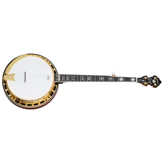 Epiphone Earl Scruggs Golden Deluxe Banjo Vintage Sunburst