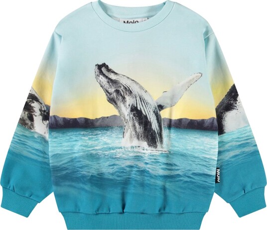 Molo Collegegenser Bland Whale Hopp Molo 5 år (110) Collegegenser Blå