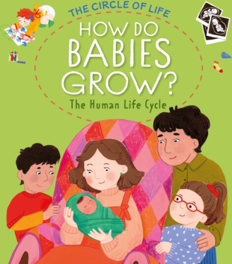 How Do Babies Grow? The Human Life Cycle How Do Babies Grow? The Human Life Cycle
