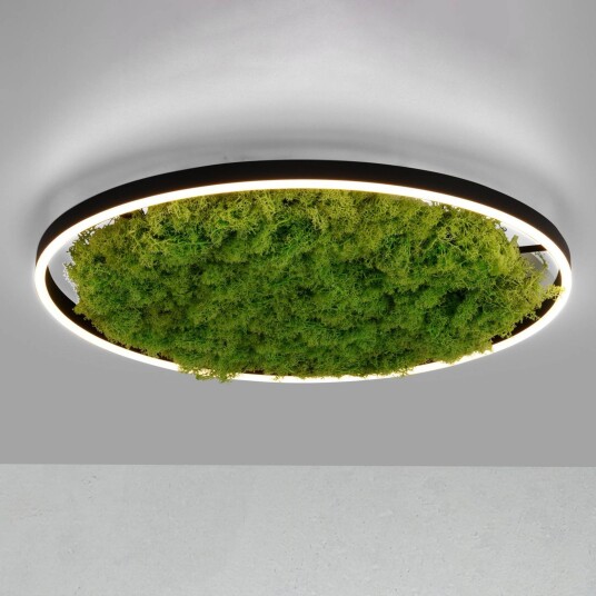 JUST LIGHT. GmbH LED-taklampe Green Ritus, dimbar, Grønn, Stue / spisestue, Moderne JUST LIGHT. GmbH LED-taklampe Green Ritus, dimbar, Grønn, Stue / spisestue, Moderne
