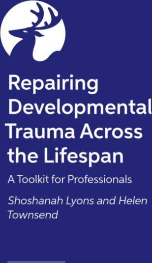 Healing Developmental Trauma in Families and Systems A Visual Toolkit for Professionals Healing Developmental Trauma in Families and Systems A Visual Toolkit for Professionals