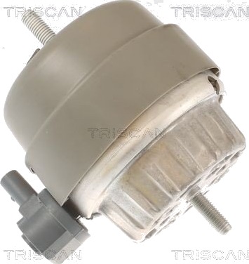 TRISCAN 8505 29174 Motorfeste