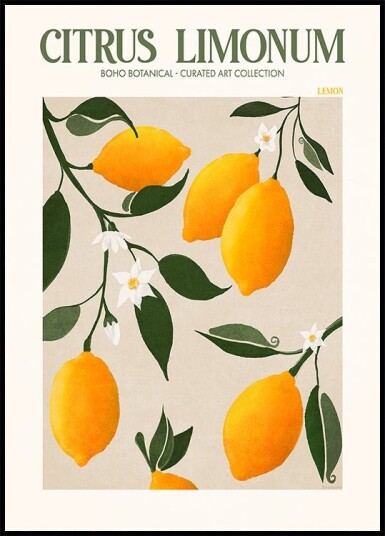Golden Citrus Delight Plakat Plakat / 30x40cm