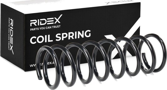 RIDEX 188C0022 Fjær