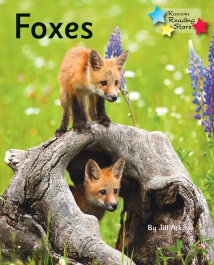 Foxes Phonics Phase 5