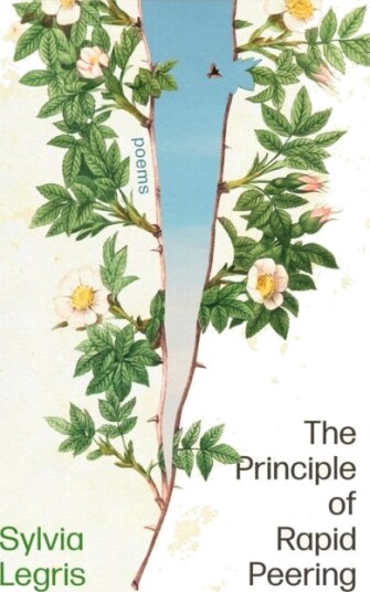 The Principle Of Rapid Peering Av Sylvia Legris