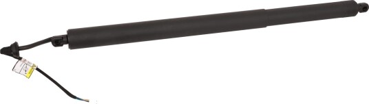 DIEDERICHS 9100545 Baklukedemper