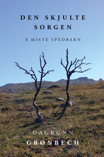 Den skjulte sorgen