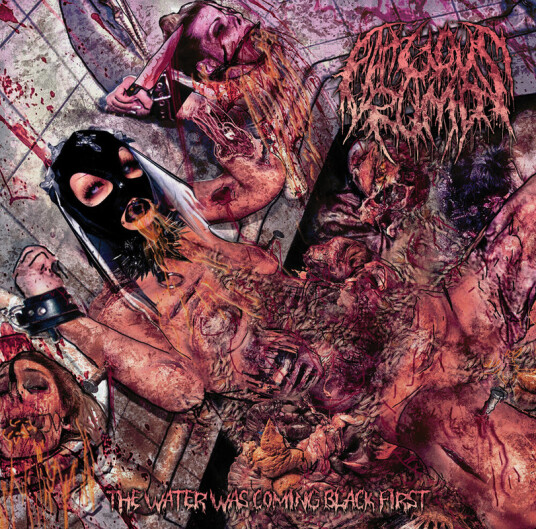 Fatuous Rump Water Was Coming Black First CD