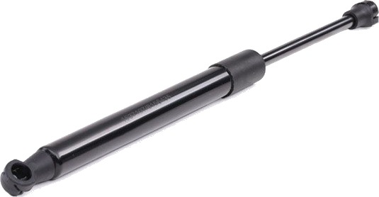 RIDEX 219G0296 Baklukedemper