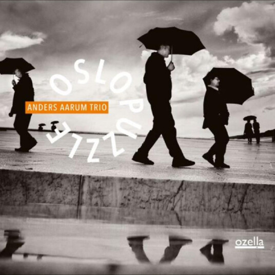 Anders Aarum Trio Oslo Puzzle CD