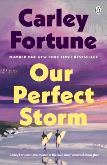 Our Perfect Storm Our Perfect Storm