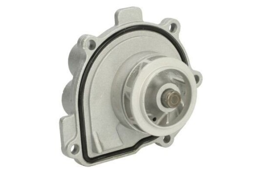 THERMOTEC D1X047TT Vannpumpe