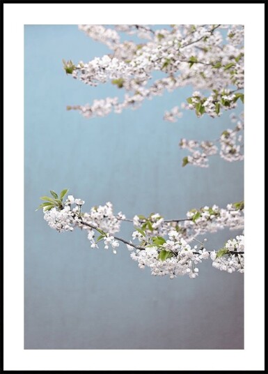 Colorful Spring 14 Plakat Plakat / 30x40cm