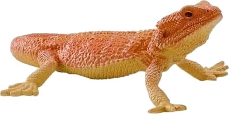 Mojo Wildlife Bearded Dragon