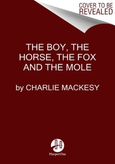 The Boy, The Mole, The Fox And The Horse Av Charlie Mackesy The Boy, The Mole, The Fox And The Horse Av Charlie Mackesy