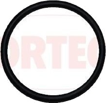 Tetning innsugningsmanifold CORTECO 026999H